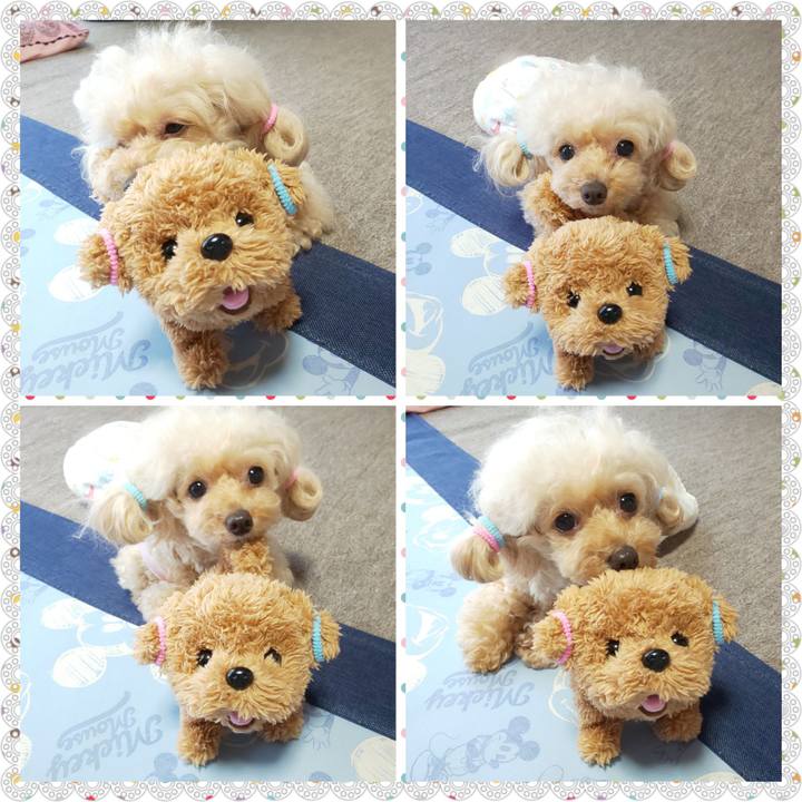 B9753956 e27e 42ac 9692 a125b9c966ae 1629887783038