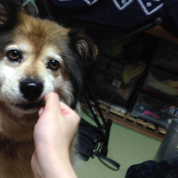 B9758a76 f086 412a 8f7c 0fc01781d105 1594472517672