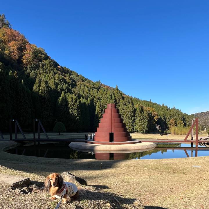 B9759ccc e791 40e0 8b4a 82bcd3b16ef9 1763961336038