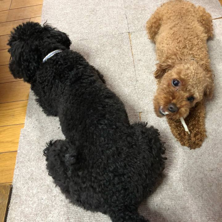 B9759cfe 8b19 461c 8908 45e8bdc4e160 1531261127398