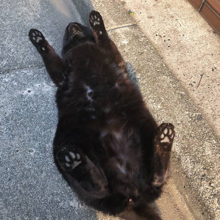 B9759ec1 4e10 45c2 b5d9 343c29b8970f 1525168765350