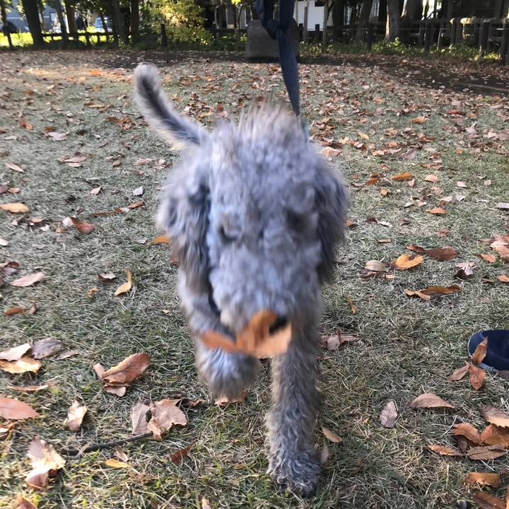 B975b7a4 e861 4d62 a27f 1b9e02ea44bd 1575114476442