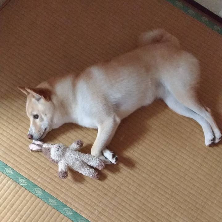 B9760ea0 47fc 42c2 9636 a48582729d39 1533512425121