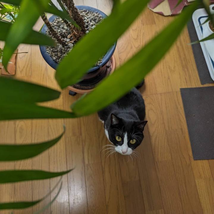 B9763a8e e923 48d8 a3c8 8b8cfa0456e1 1700453267178