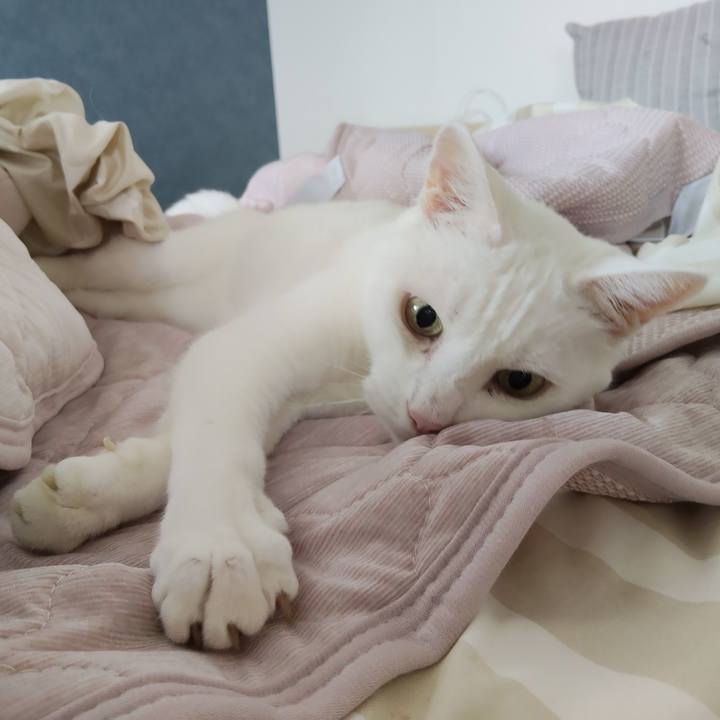 B9764863 51bc 44d0 9c80 936f4b21630d 1787468899114