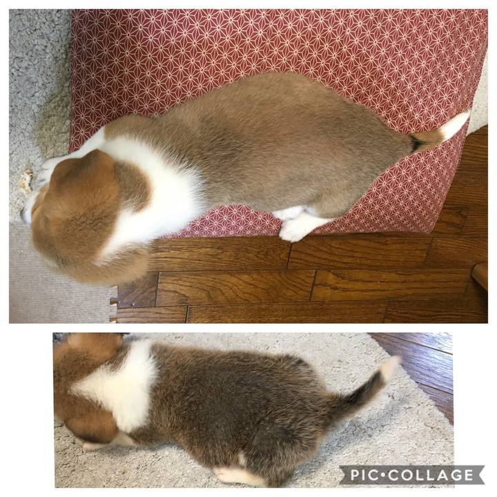 B9768936 1f85 45cd 8aa0 595aecad5478 1589846960958