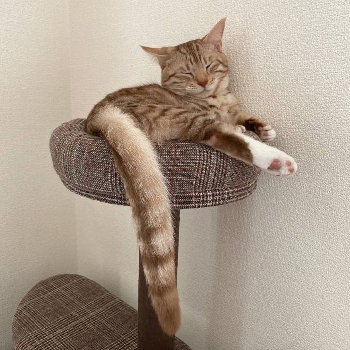 B976a8e2 1e9c 4e19 be64 e8b356ba6d57 1628302254287