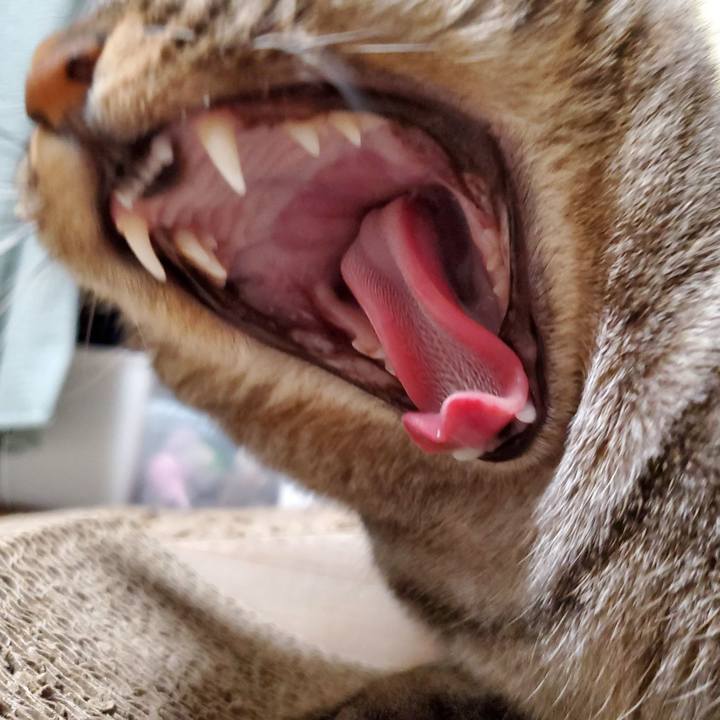 B976f925 3beb 4815 9865 fda7ddd916e3 1721360098034