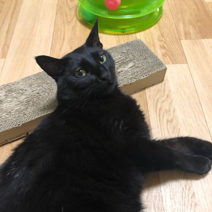 B9770624 9457 4d58 84f6 d89ebdfe7429 1562333277752