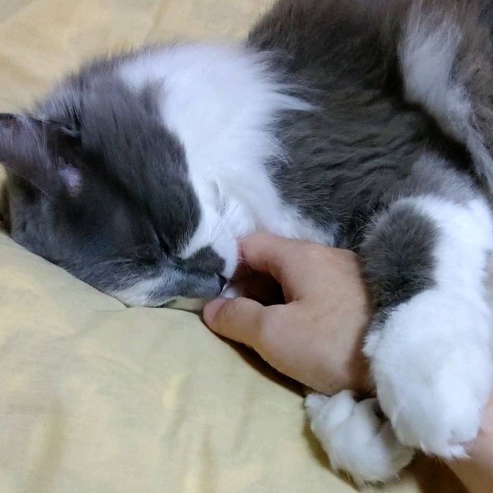 B97742a9 191c 4708 9b83 c0d1f83df238 1590013191009