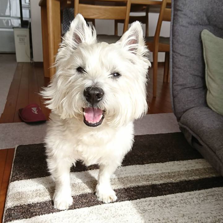 B9775322 7702 46d1 9d55 1fa976a49a35 1550810637624