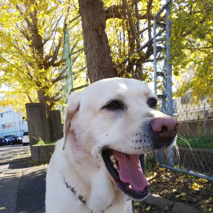 B9776020 aefa 4b88 8a17 96e1de1f4b51 1574217542389