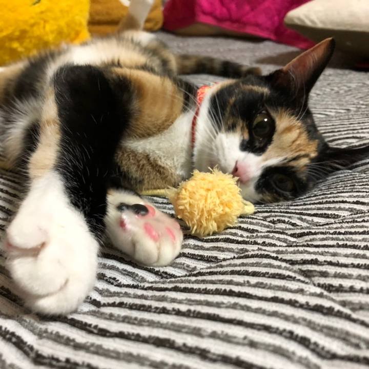 B977897b be7c 4a46 97e0 68082645b04b 1558708881079