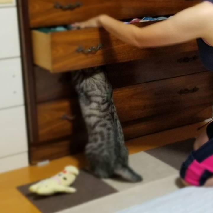 B9778f04 1abb 470b a9d3 30fad8a7a274 1690907682911