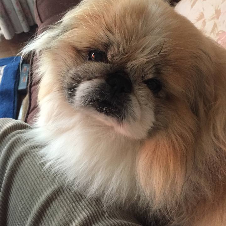 B977996a b9f9 486d 95da aa4a141bdf07 1552341620251