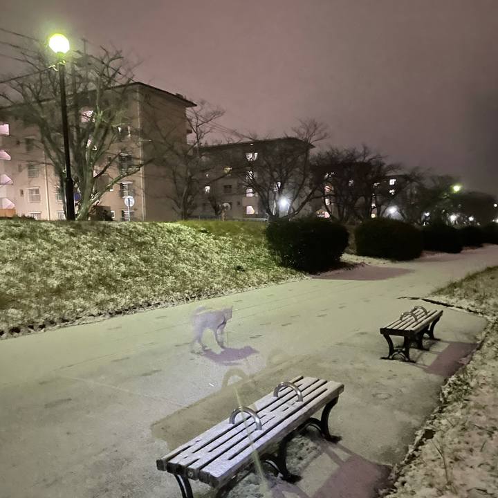 B977a4c4 2b88 4df1 9bd0 1a888256f300 1610021625604