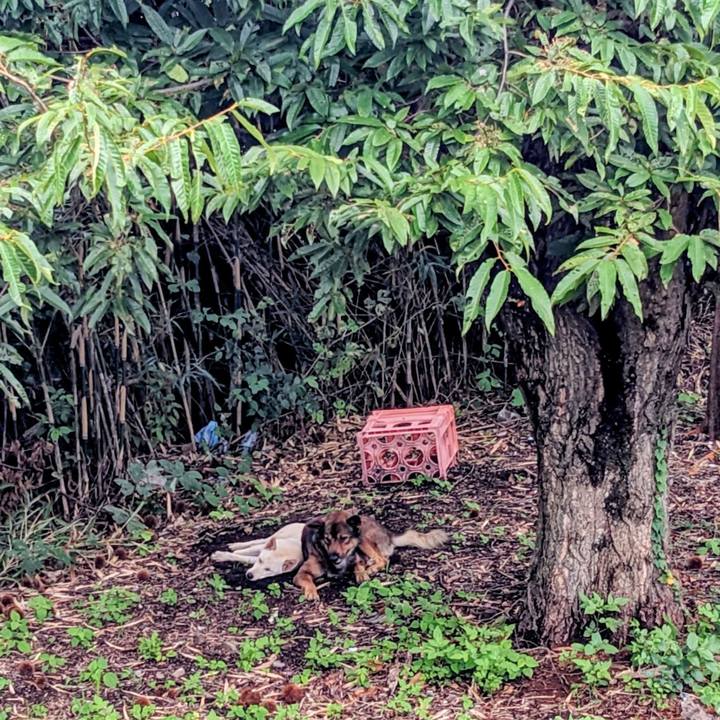 B977b051 1abd 4db8 9a11 93e1a1d47cb6 1757776136679