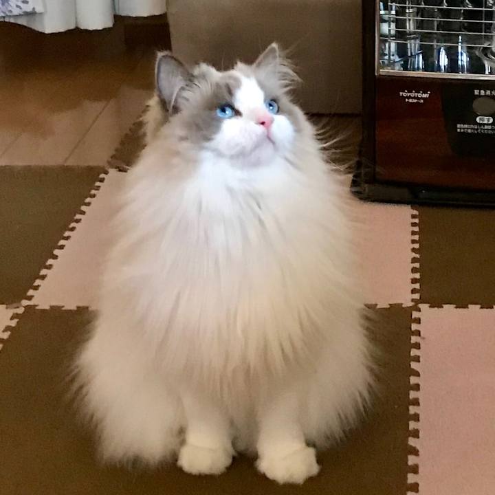 B977b85a ecbc 434b 93cf 4a541e933df7 1585389987548