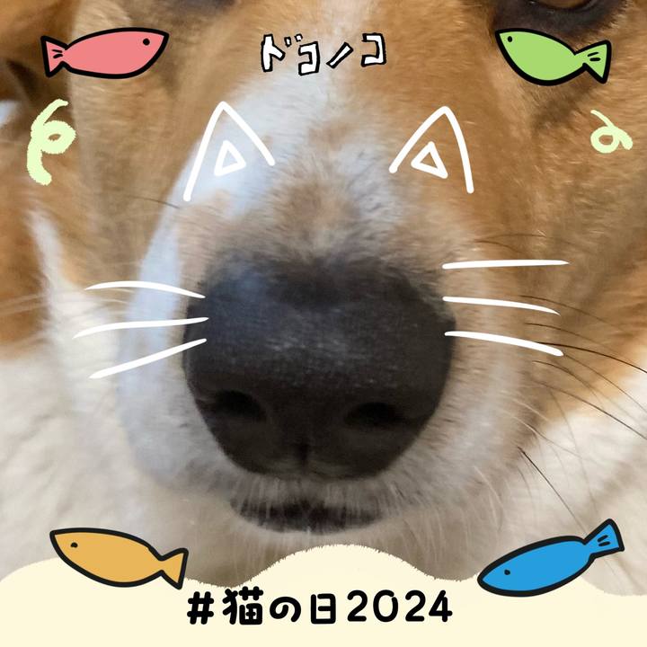 B977f072 c145 49c0 825f 84fd17f709f9 1708564462741