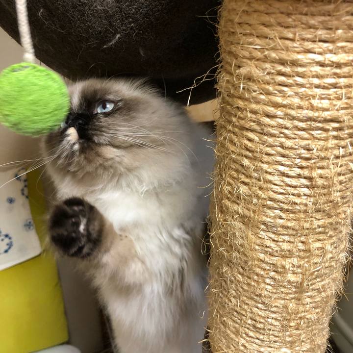 B977f447 ed11 43a4 9339 85d9103651cc 1637934358691