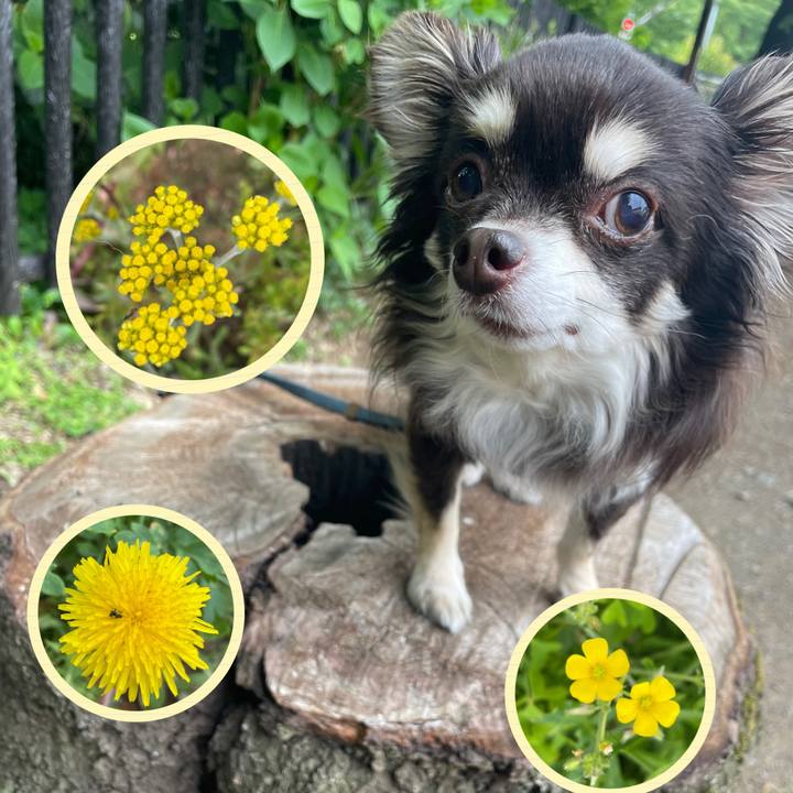 B9780c2f f9a2 4fbb 95e2 939c0f35d9ab 1619392600438