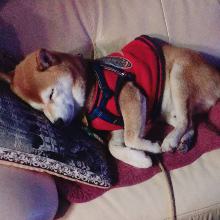 B97815e2 9956 40da afcf 0979767ad0cf 1548155499055