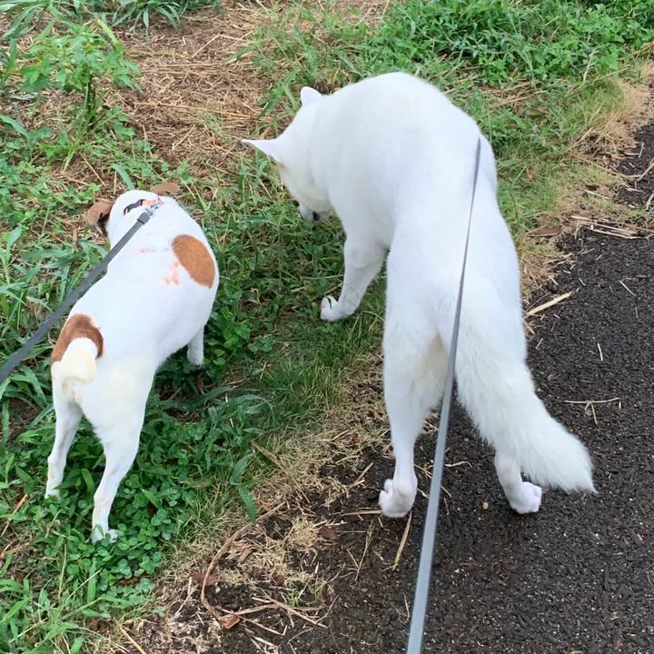 B9783d1a 2e81 4fa9 8401 3e1a63214086 1571100140546