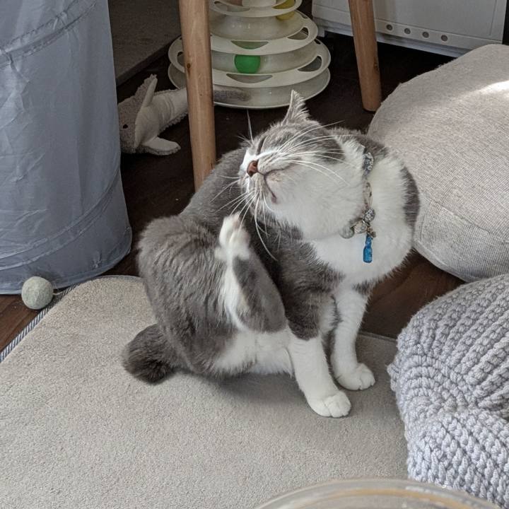 B9783d47 4118 4b1e a40b 3eb52d9c797c 1767143187886