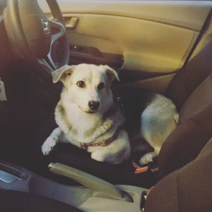 B9785e7c 33f3 407a ba90 96089563bae1 1535625908523