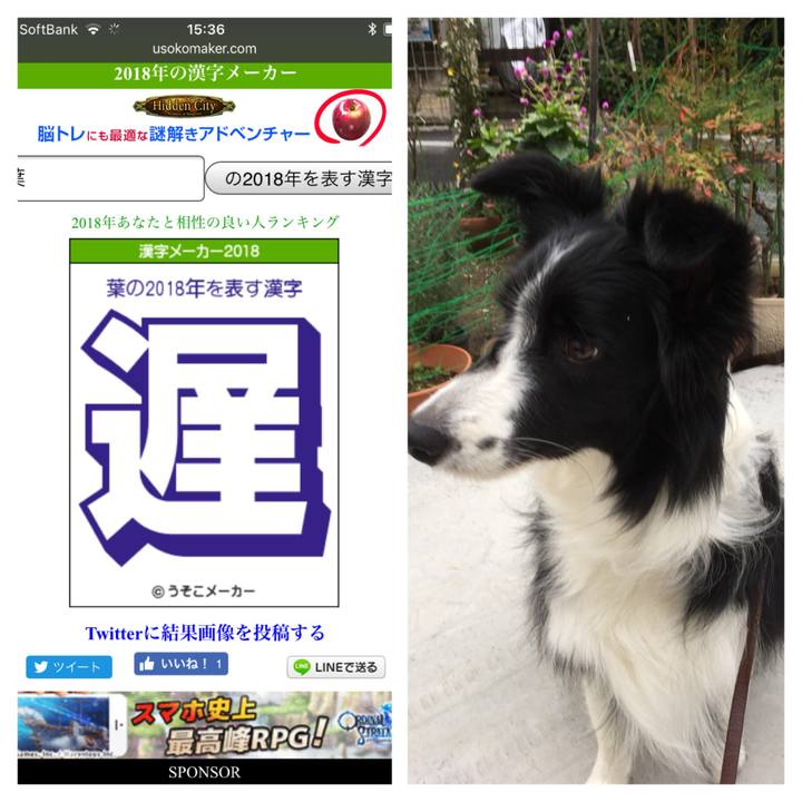 B97879b3 e8cb 4fde a163 5092db14fe9e 1515048941666