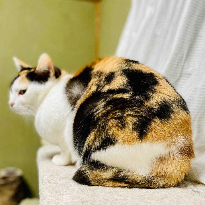 B9787b80 06b6 4f48 9288 4c285b0d879f 1611541326874