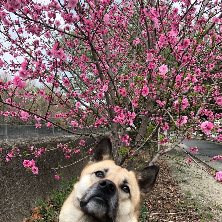 B9789b1b 870b 478b b0fe 38ee0416e6db 1554005030021