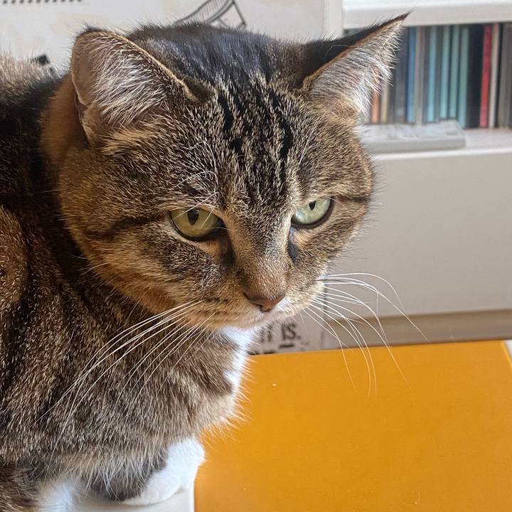 B978caf1 066b 4860 925f 846fda19654b 1707697979074