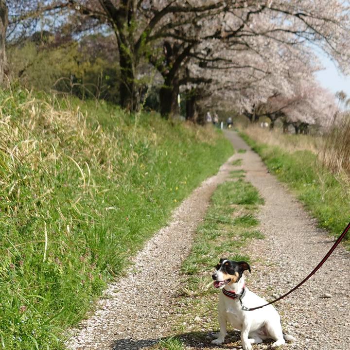 B978f227 ffa6 4cd6 baeb 3b40e7c7a74e 1680349456953