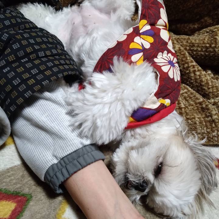 B97912b4 57d6 40af 82fa 21abd7ec5e90 1677397547895