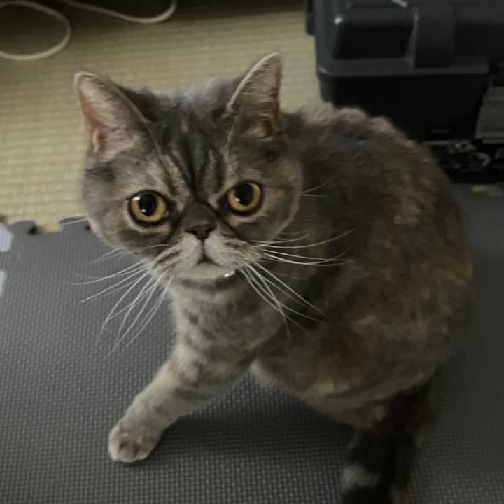 B9794524 b0cd 49d0 a13c aa51057bf75b 1774225711320