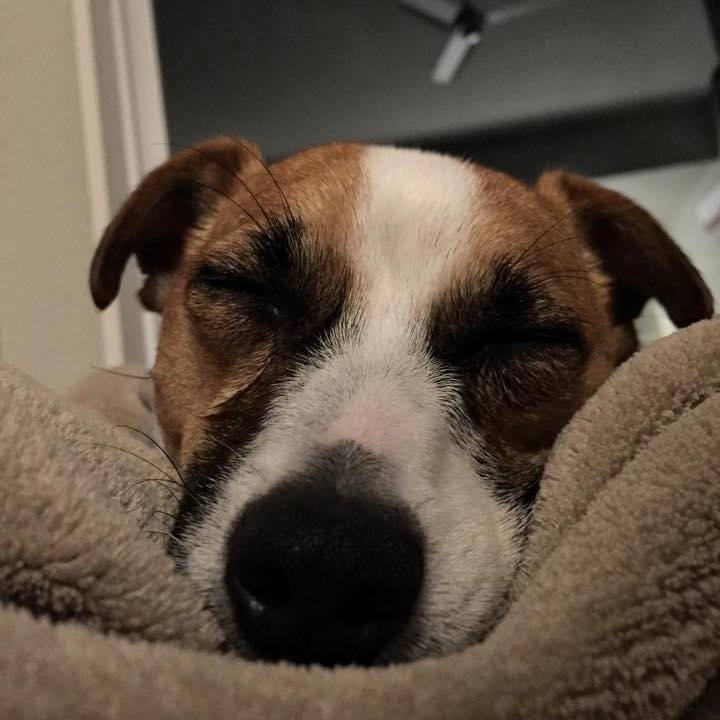 B9794691 decd 4aa7 bcb7 1acf56ac386c 1671022752476