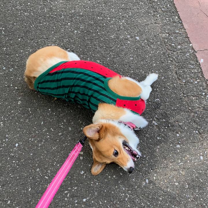 B979866c afe7 46c1 81e9 805cf619d671 1561711589649