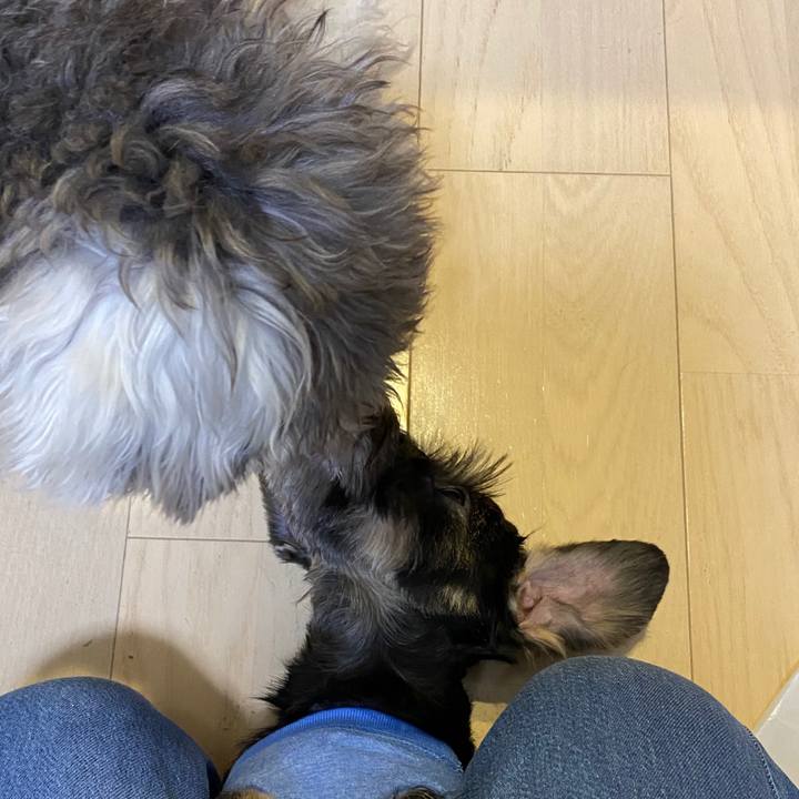 B97a0380 59a5 410b 99e4 dbcd660e32a0 1588686318562