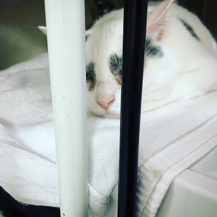 B97a07ed 9751 4a67 9ab0 893659a7b37d 1615816709585