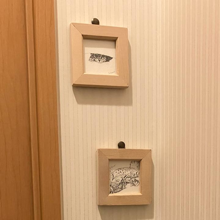 B97a10cb d506 4974 a1a9 a0160f171266 1764727008542