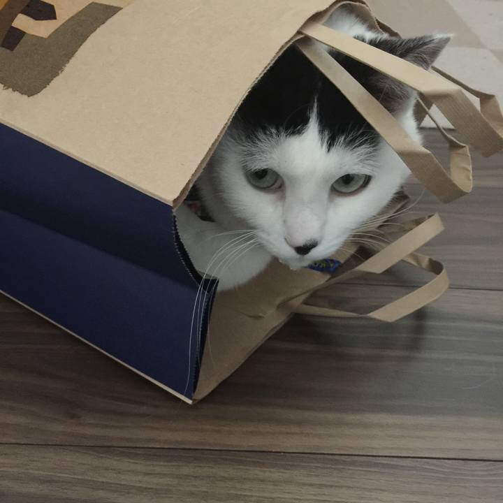 B97a114f 6afc 4cfd 8b85 867e67ed46a7 1512866451581