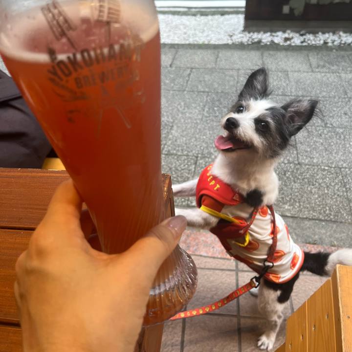 B97a8198 0670 4e65 b9a7 70481e9976e0 1758435499868