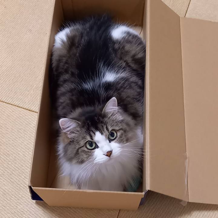 B97a92b5 7a4c 4b9c bbe9 83b1742abcf0 1630313588639