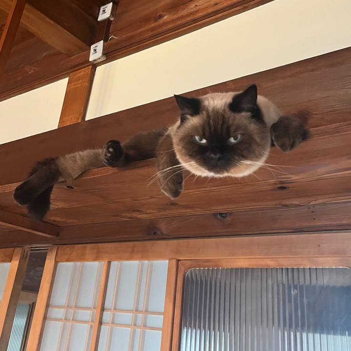 B97ae349 7e27 4f2c a505 0c0f816daa18 1666402484613