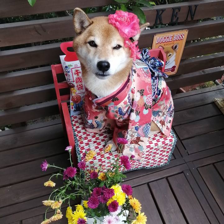 B97af0ba b106 4272 bc9d 8e46a3764aa4 1668315976211