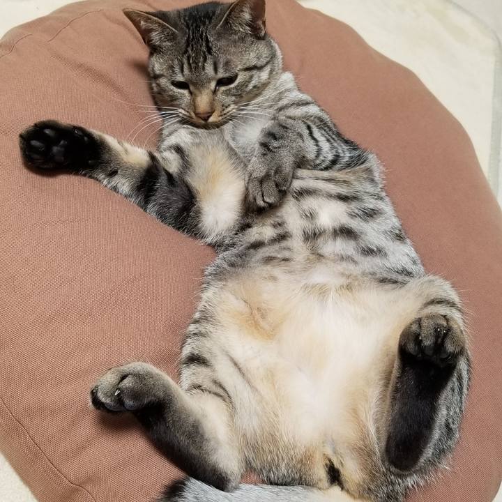 B97afd3c d1d8 473d a73c 9ad0608e5a61 1683469521136