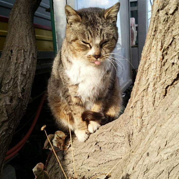 B97b1955 3391 4ded b0d5 744e023a1fc2 1517928195886