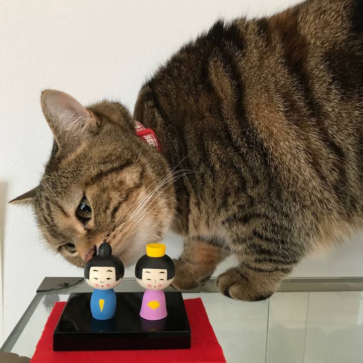 B97b5c9e 52ad 485b 8328 b6a78a067de4 1520043851341