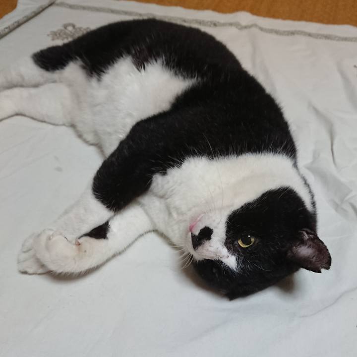 B97b8a2f 7d15 4e7d a897 3bf871caad60 1600843132190